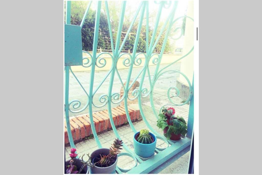 Cosy Studio Flat On The Seaside Lido di Ostia Exterior foto